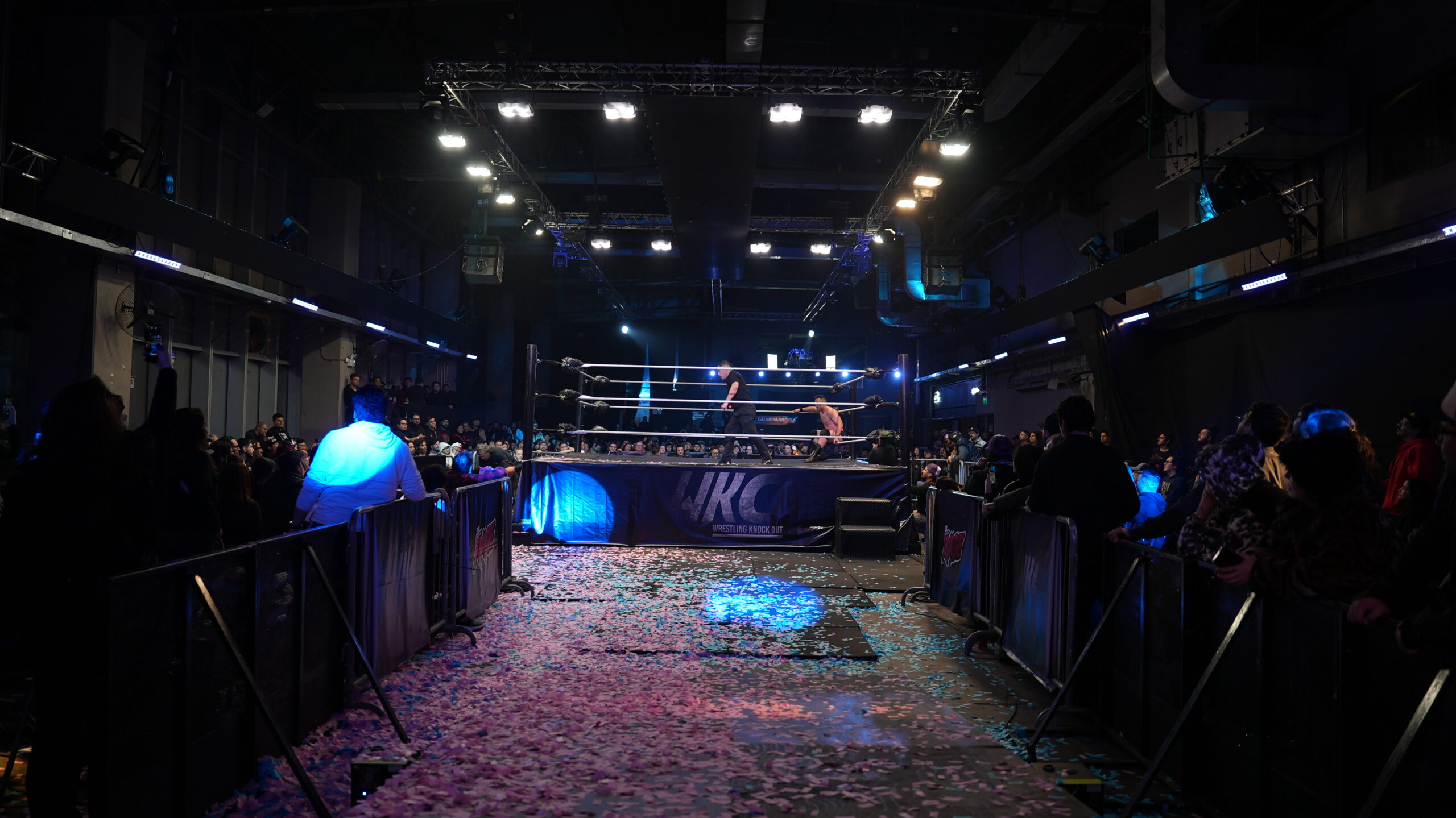 Arsmate Sports: Nuevo Dueño de WKC