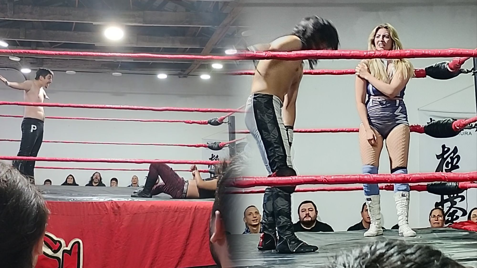 Reseña Academia Lucha Libre Concepción: X Gala Lucha Libre